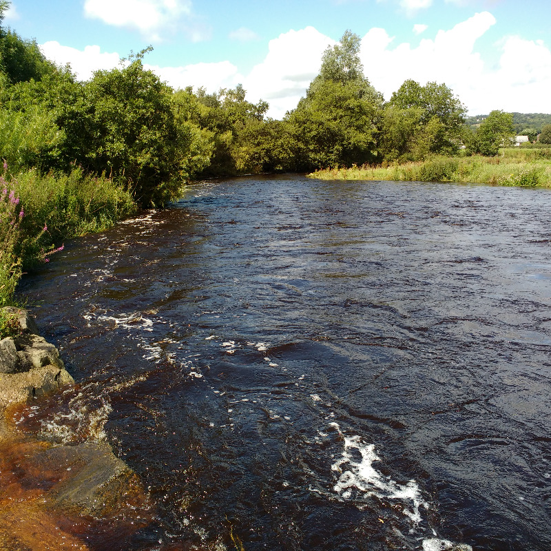 Braid Angling Club